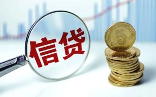 上海私借抵押贷款-上海私借哪里可以借私借-上海私借民间借贷无抵押